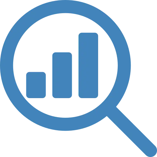 SEO - Website Analysis con
