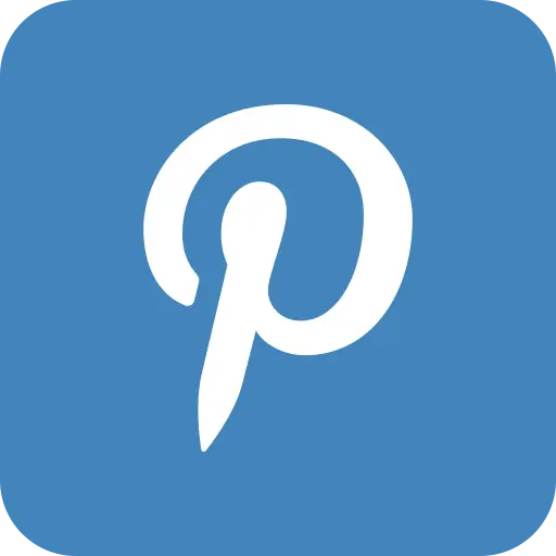 Social Media Service - Social Experience -Pinterest Icon