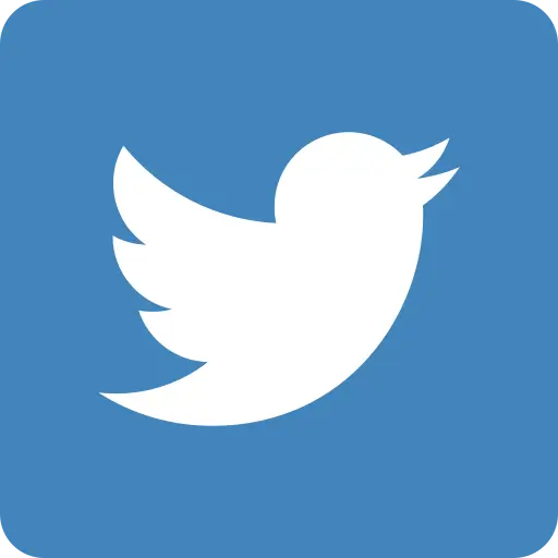 Social Media Service - Social Experience -Twitter Icon